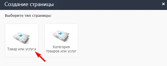 выбор товара или услуги