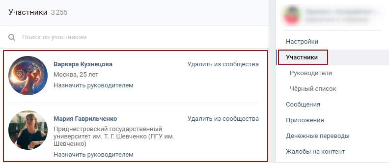 Участники бизнес-страницы ВКонтакте