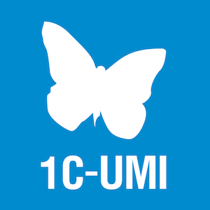 создать сайт бесплатно за минут - 1C-UMI создать сайт бесплатно за минут